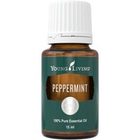 Pepparmynta (Peppermint)